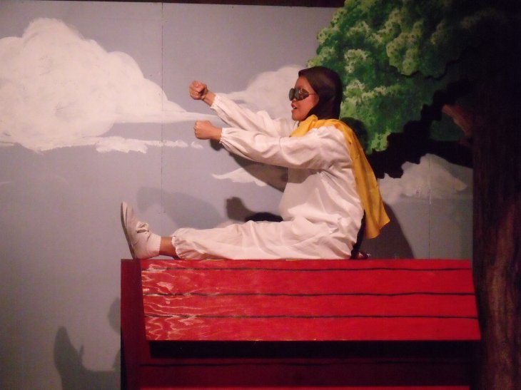 WWI Flying Ace