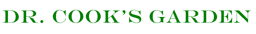 DCG logo 