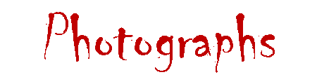 Photographs
