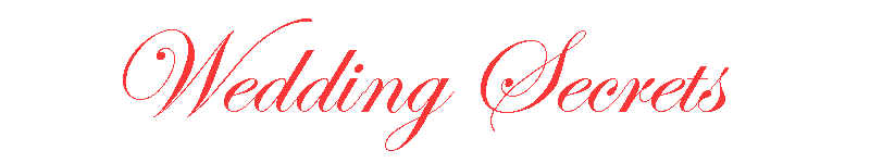 Wedding Secrets logo 